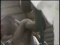 Bas Rutten coaching Yves Edwards vs. Tim Horton