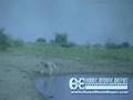 1965 Funston Farm Dove Hunt 
& Muncy/Hortman Farm Cleburne