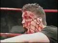 tributo a la lucha extrema