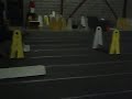 Storm at Flyball Practice Dogzworth