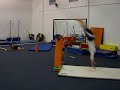 Dive Roll
