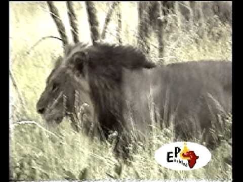 Accessible Epic Enabled safaris & travel in South Africa