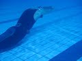 apnea 2008 11 23 06 apnea 2008 11 23 06