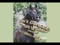 Borsalino Bey - Black Arabian Stallion Borsalino Bey - Black Arabian Stallion