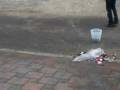 videos de Glückliches Besen Video (GBV)