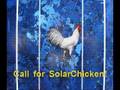 Solar Chicken
