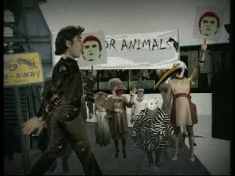 Imagen de previsualización de YouTube