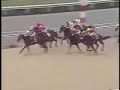 1993 ????? Nikkei New Years Cup