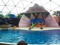videos de Miami Seaquarium 1