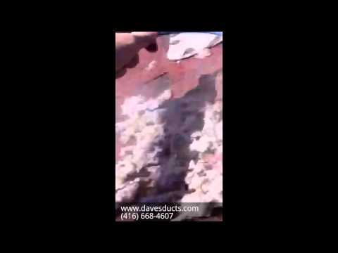 how to clean a dryer vent from the roof