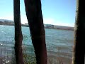 49.(viaje a bahia-coique(residencia del presinte).mp4