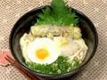 How to Make Bukkake Udon (Japanese Cold Udon Noodles)