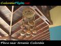 videos de Armenia Colombia Finca Beautiful Art
