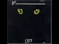 Cats - Der Rum Tum Tugger [German]