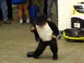 Michael Jackson en versión pequeña