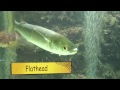 I liked a YouTube video -- Benalla College Surf Trip 2011 http://youtu.be/UFZc1sgghes?a