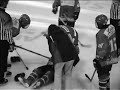 HITS SAVES GOALS- EHC 80-