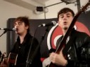 babyshambles - la belle et la b�te