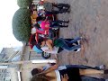 Click here to watch this video floresta do piaui