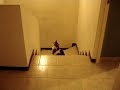 ボール猫動画