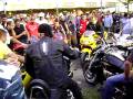 Free Frogs Riders-tg secuiesc