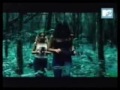 A Tribute To Marion Raven