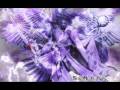 Vision divine video 2