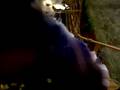 videos de Natalia and Nikolas at 