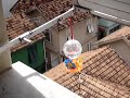 Beija-flor na minha janela Parte 2