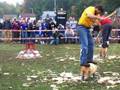 Midwest Foresters Conclave