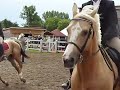 Hunter Under Saddle