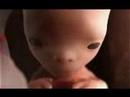 Desarrollo Fetal