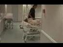 Desarrollo Fetal