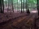 m0ii et et en foret