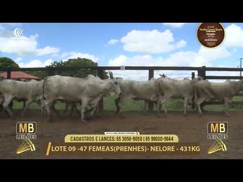 11� LEIL�O FAM�LIA LUCIANO DUARTE E CONVIDADOS