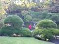 お線香動画4
