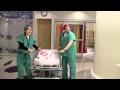 Heart Month Celebration