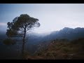 Del Sud (La Safor-Valldigna)