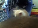 Jack and Marvin caught together Jack and Marvin caught together