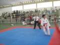 2008-12-26 | shin shu kan 2008 ~> alguns momentos de karate e kobudo ... (02:38)