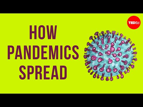 Lesson 17. How pandemics spread Thumbnail