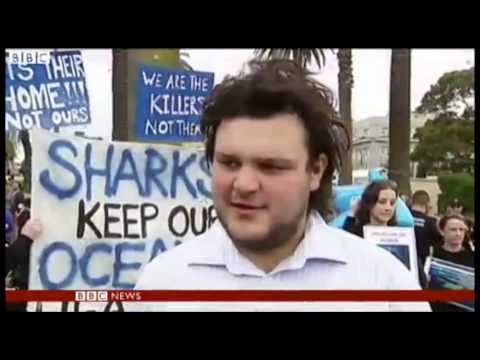 Australia protests the culling of sharks + Great Barrier Reef threat