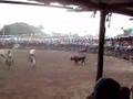 torneo conkal 2008
