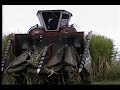 Broussard Sugar Cane Harvester