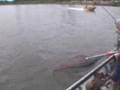 Washington Fishing Steelhead Salmon pt2