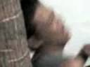 videos de David Cock II