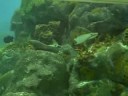 Texas State Aquarium in Padre Island