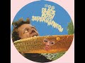 Black Moth Super Rainbow - Black Moth Super Rainbow -
