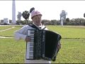 Retro Reeds Accordion Delta II Dawn Retro Reeds Accordion Delta II Dawn