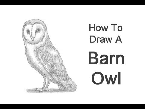 how to draw owls
